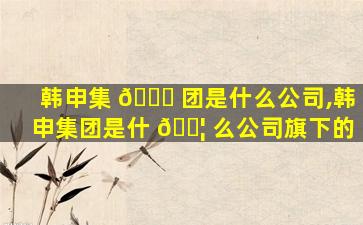 韩申集 🐟 团是什么公司,韩申集团是什 🐦 么公司旗下的